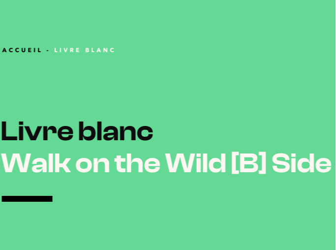 Walk on the Wild [B] Side (2)-1